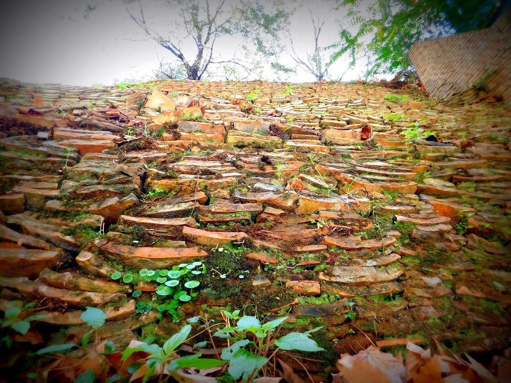Una passeggiata sul Monte dei Cocci a Testaccio domenica 11/06 h 15:00 permesso speciale