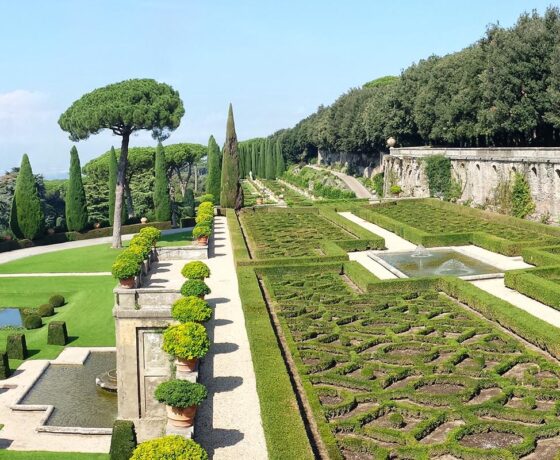 Il Palazzo Apostolico di Castelgandolfo e i  piccoli giardini Pontifici, 31/05 ore 11:15