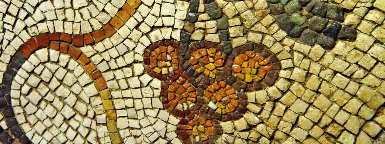 Quel Friuli di Mare e di Mosaici, l’uva sogna sempre di diventare un grande vino 28/1 h.20