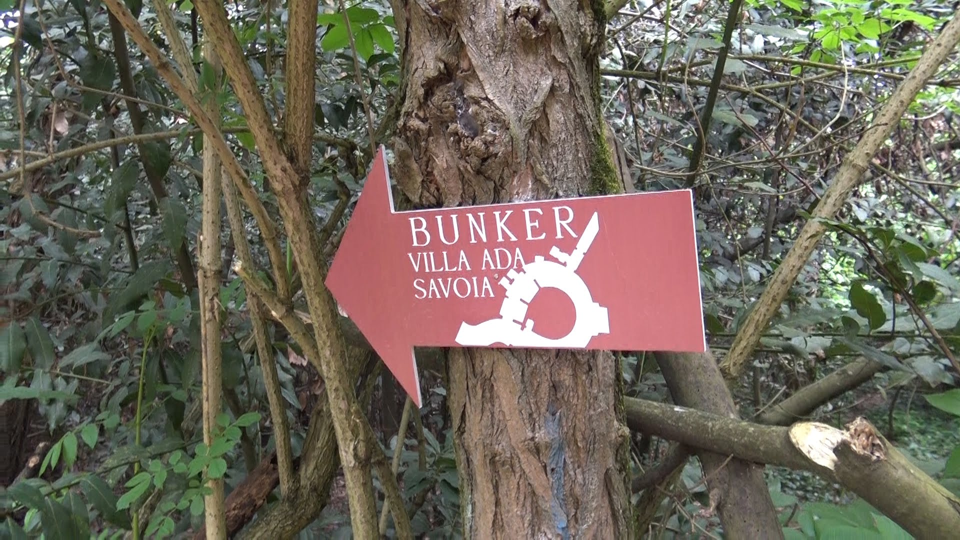 Il rifugio antiaereo del Re: il bunker di villa Ada Savoia 24/06 h18:30