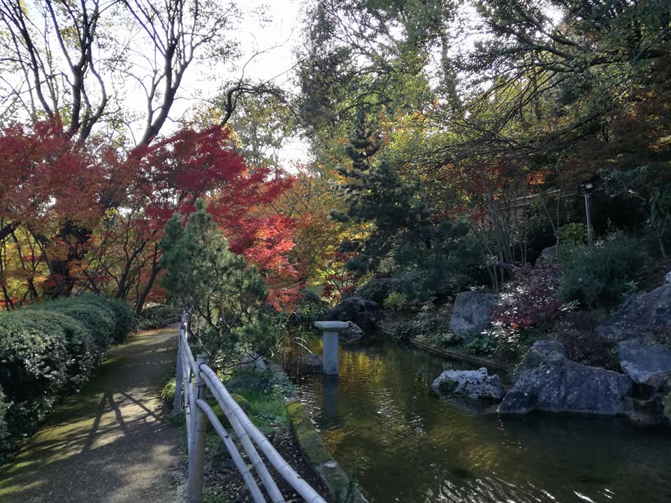 La Magia del Foliage: i colori dell’autunno all’Orto Botanico di Roma