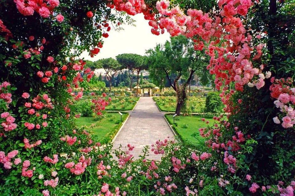 Il Roseto Comunale e la nascita di Roma 11/ 5 ore 11:00