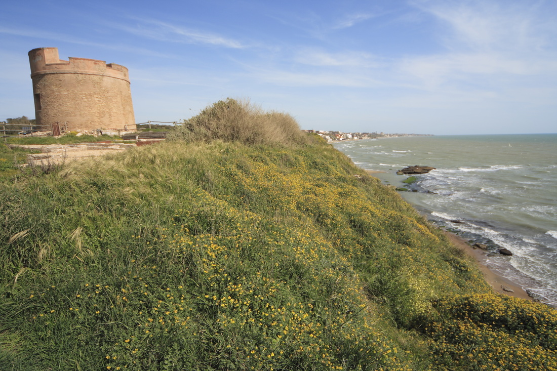 Visita alla riserva naturale di Tor Caldara a Anzio 3/1/21 ore 11:00